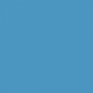 LocalID_335 