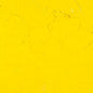 LocalID_499 