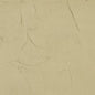 LocalID_519 