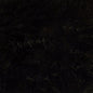 LocalID_502 